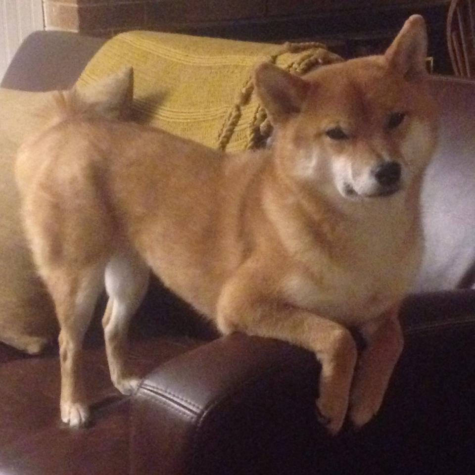 跨界传奇，英格拉姆的英超式接管与步行者的单节风暴