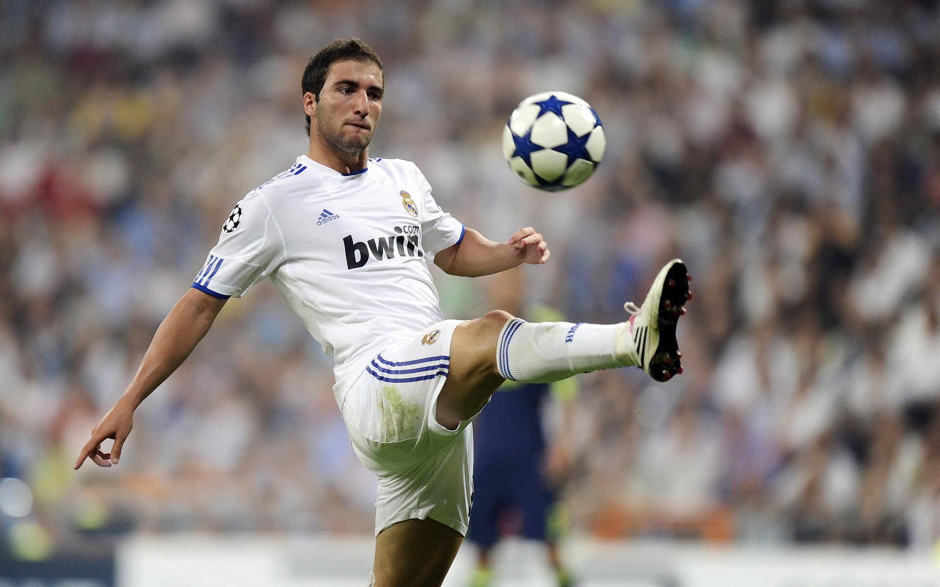 世界排名争夺战焦点战，伊朗封锁战术如何遏制阿尔及利亚攻势