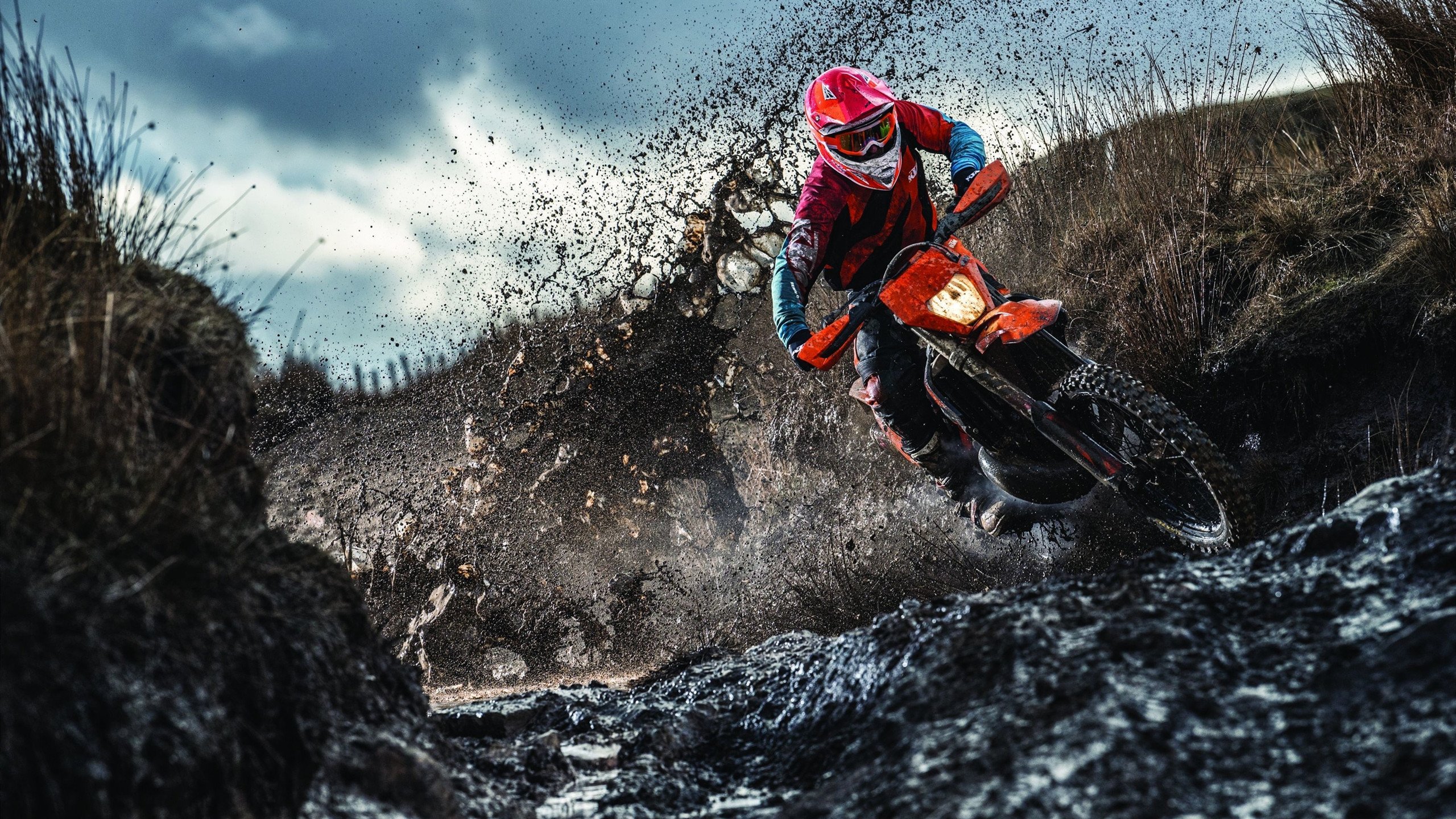 舞台越大，维尼修斯越强，西班牙制霸勒沃库森背后的新王崛起